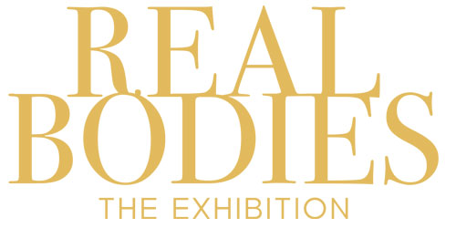 realbodies-logo